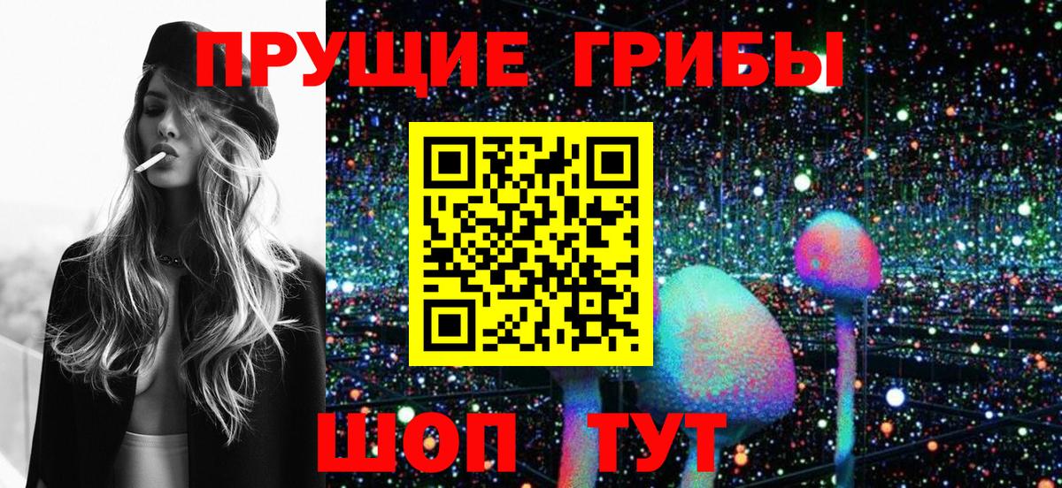 Псилоцибиновые грибы GOLDEN TEACHER Кинель