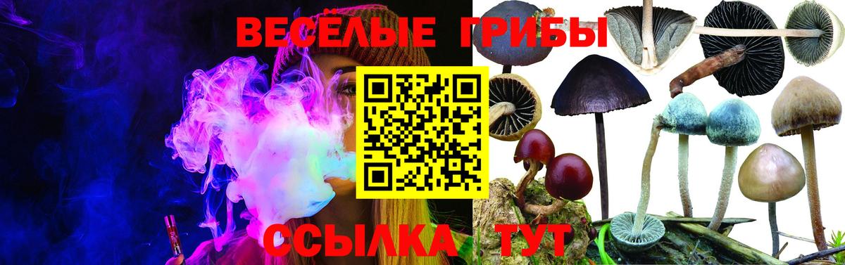 Псилоцибиновые грибы мухоморы  Галлюциногенные грибы Psilocybe  Вход с VPN  Кинель 